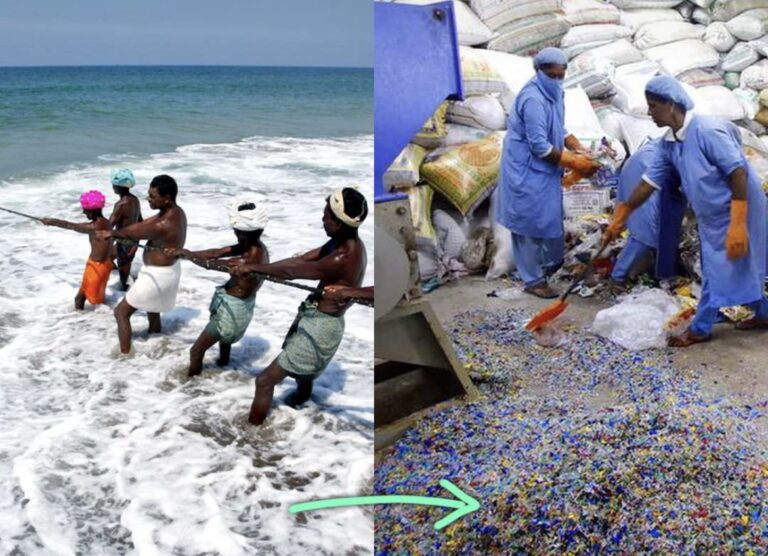 Turning Tides: Kerala Fishermen Build Roads from Sea Plastic Waste
