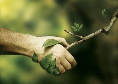 AI-Powered Plants That Respond to Human Emotions