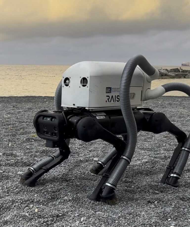 This AI-Powered Robot Dog Is Making Parks and Beaches Cleaner