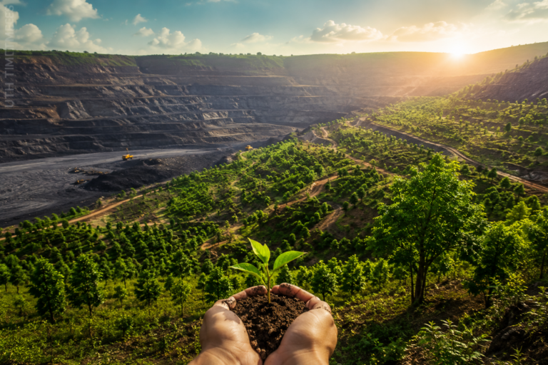 Adani Plants 1.6 Million Trees to Transform Chhattisgarh’s Mined Land